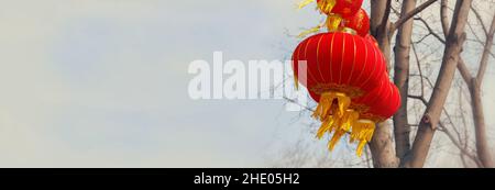 Lanterne di carta rossa su rami di albero contro un cielo blu. Un simbolo di ricchezza e prosperità. La tradizione di celebrare il nuovo anno in Asia. Ho colorato Foto Stock