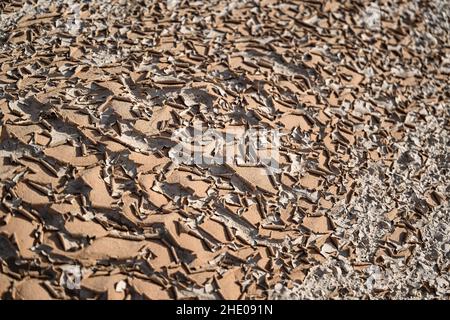 Riyadh, Arabia Saudita. 07th Jan 2022. Ambiance durante la tappa 6 del Dakar Rally 2022 intorno a Riyadh, il 7th 2022 gennaio a Riyadh, Arabia Saudita - Foto Gigi Soldano / DPPI Credit: DPPI Media / Alamy Live News Foto Stock