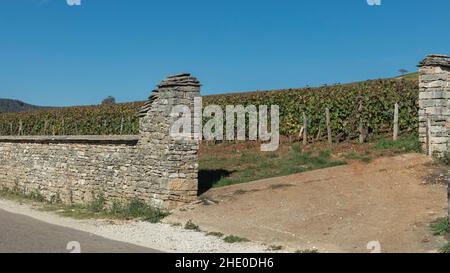 Colonne di pietra e zona murata contenente un vigneto elevato nella regione di Borgogna Foto Stock