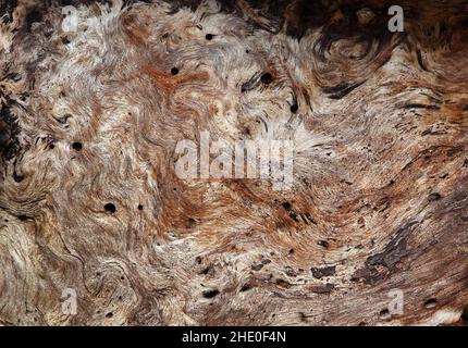 Swirls legno Organic background Texture sul molto vecchio albero Foto Stock