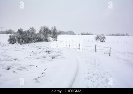 Paesaggio invernale con recinzione, alberi e molta neve in una giornata nuvolosa Foto Stock