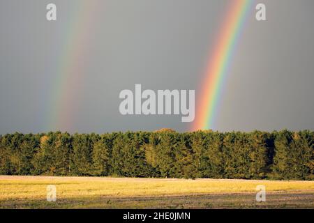 Un arcobaleno visto vicino alla strada A12 in Essex, Inghilterra durante il tardo autunno tempo showery Foto Stock