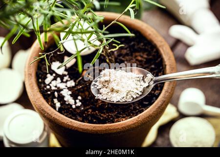 scarti di cibo usati come composto, guscio di melanzane come vitamina di radice vegetale Foto Stock