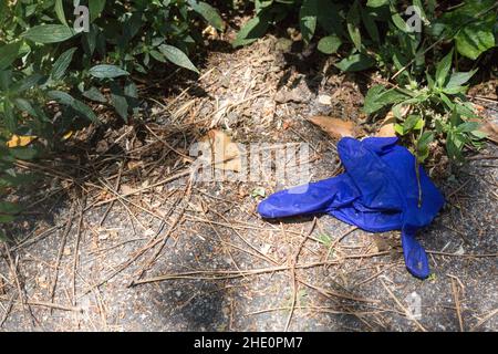 Guanto medico monouso blu su terra e erba. Guanto usato gettato in strada. Inquinamento ambientale dopo la quarantena. Rifiuti di plastica Foto Stock