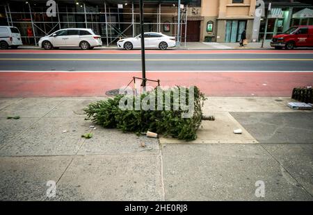 Un albero di Natale povero, solitario, scartato è visto all'esterno di un edificio di appartamenti a New York il lunedì 3 gennaio 2022. Il Dipartimento di Sanitation offre il prelievo sul cordino di alberi scartati con tinsel e decorazioni rimosse. (© Richard B. Levine) Foto Stock