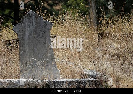 Old Gray Tombstone in erba marrone con pareti in pietra bassa Foto Stock