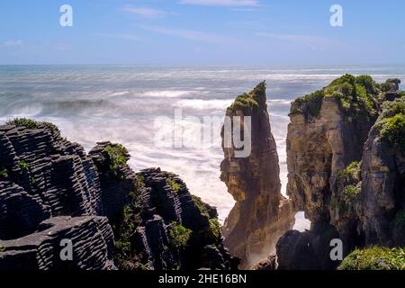 Punakaiki pancake rocce e fiori Foto Stock