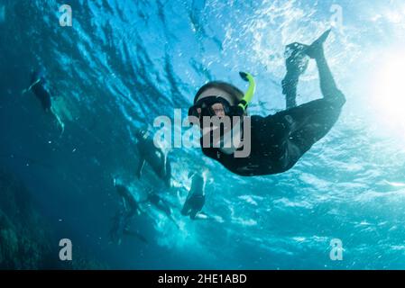 Uno snorkeler si tuffa sotto la superficie del mare rosso in Egitto. Foto Stock