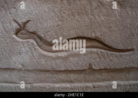 Antica scultura egiziana di un vipera cornuto sulle pareti del tempio a Edfu, Egitto. Foto Stock