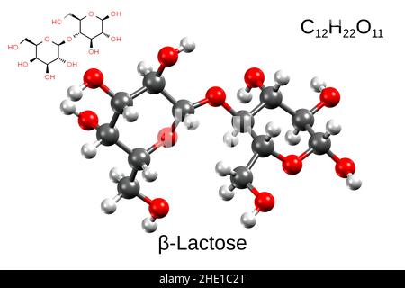Formula chimica, formula strutturale e modello a 3D sfere di beta-lattosio, fondo bianco Foto Stock