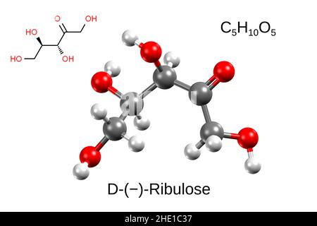 Formula chimica, formula strutturale e modello a 3D sfere di D-ribulosio, fondo bianco Foto Stock