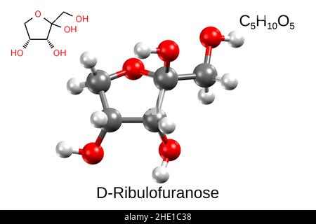 Formula chimica, formula strutturale e modello a 3D sfere di alfa-D-ribulofuranosio, fondo bianco Foto Stock