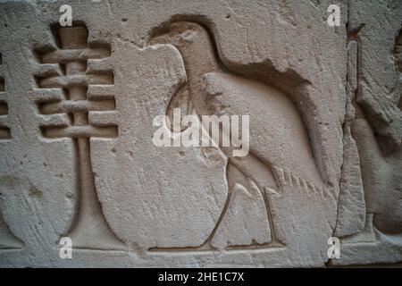 Un antico uccello intagliato sul muro del tempio a Edfu, Egitto. Forse uno sciamano africano. Foto Stock