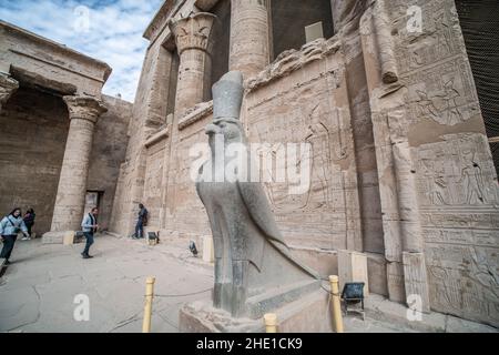 Una statua di falco all'ingresso del tempio di Edfu un sito archeologico in Egitto. Foto Stock