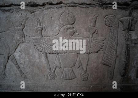 Un falco con lance e un toro appaiono tra i geroglifici sul muro del tempio di Horus a Edfu, in Egitto. Foto Stock