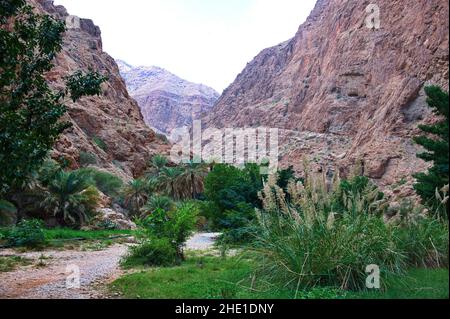Wadi Shab - uno dei wadi più belli in Oman Foto Stock