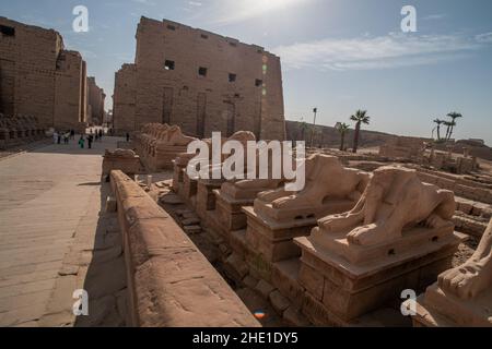 Sfingi fuori del tempio di Karnak a Luxor, Egitto. Foto Stock