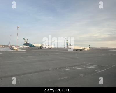 Calgary, Alberta, Canada - 7 dicembre 2021: Gli aerei WestJet nell'aeroporto di Calgary YYC. L'aeroporto funge da sede centrale per WestJet Airlines. Foto Stock