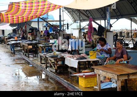 Sri Lanka Negombo - mercato Negombo bancarelle di pesce Foto Stock