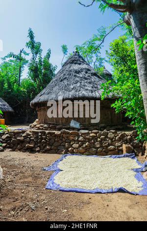 Villaggio tradizionale africano della tribù Kono in Etiopia Foto Stock