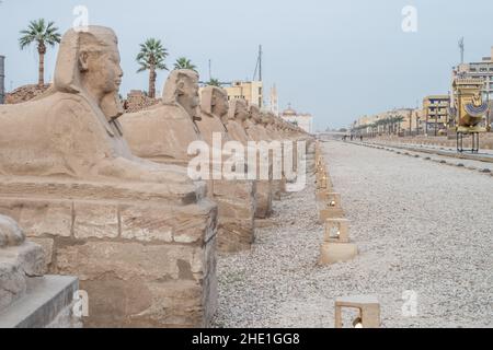 Le antiche statue sfinge che costeggiano il viale delle sfingi a Luxor, Egitto la strada storica è fiancheggiata da 100s monumenti di pietra. Foto Stock