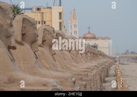 Le antiche statue sfinge che costeggiano il viale delle sfingi a Luxor, Egitto la strada storica è fiancheggiata da 100s monumenti di pietra. Foto Stock