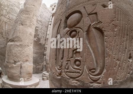 Un'antica scultura egiziana degli Uraeus, che allevava la cobra usata come simbolo di re al tempio di Luxor in Egitto. Foto Stock