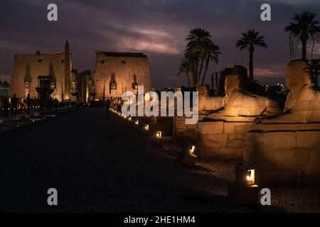 Il viale della strada sfingi al tempio di Luxor, Egitto drammaticamente illuminato di notte. La strada dei arieti è stata appena restaurata e riaperta di recente. Foto Stock