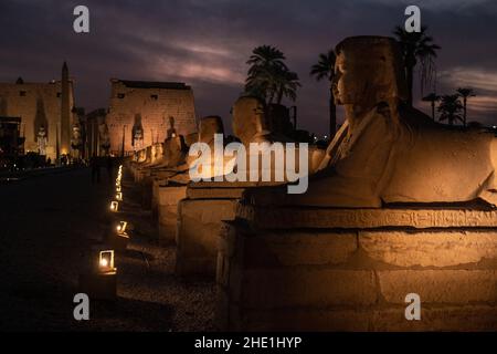 Il viale della strada sfingi al tempio di Luxor, Egitto drammaticamente illuminato di notte. La strada dei arieti è stata appena restaurata e riaperta di recente. Foto Stock