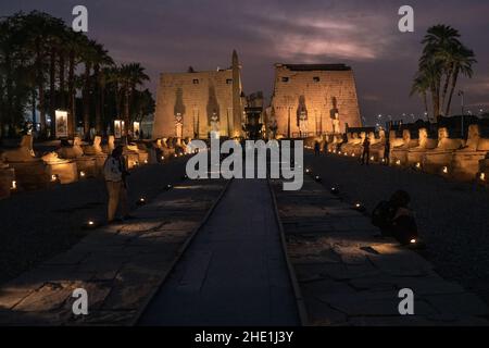 Il viale della strada sfingi al tempio di Luxor, Egitto drammaticamente illuminato di notte. La strada dei arieti è stata appena restaurata e riaperta di recente. Foto Stock