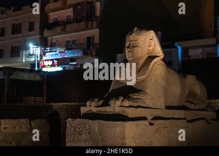 Una statua di una sfinge, una di oltre 600 che si trova lungo la strada dei arieti o viale delle sfingi che collegano il tempio di Luxor a Karnak in Egitto. Foto Stock