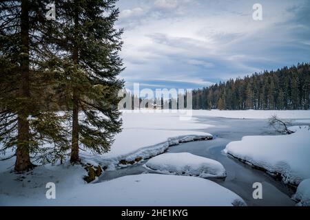 Inverno am Großen Arbersee im Bayerischen Wald Foto Stock