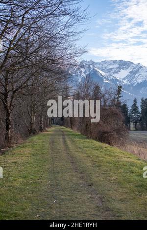 Vaduz, Liechtenstein, 23 dicembre 2021 piccola via pedonale in una foresta verde Foto Stock