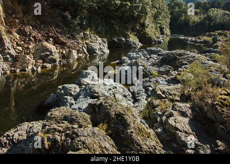 Pelorus River in Pelorus Bridge Scenic Reserve, regione di Marlborough sull'Isola del Sud della Nuova Zelanda Foto Stock