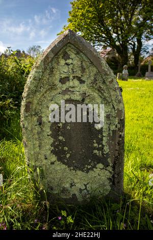 Regno Unito, Galles, Pembrokeshire, Bosherston, St Michaels churchyard, copricapo coperto di lichene Foto Stock