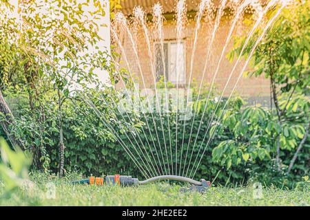 Irroratrice sprinkler in giardino su prato. Irroratrice sprinkler acqua su erba verde. Sistema di irrigazione. Retroilluminazione sunbeam. Casa di campagna con prato verde Foto Stock