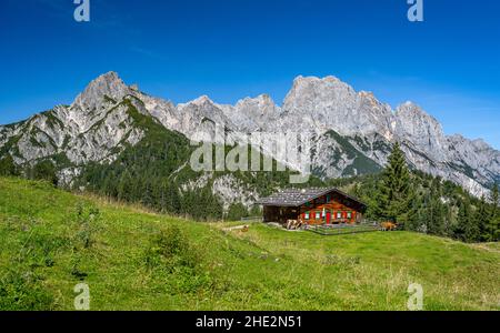 Paesaggio montano estivo nel Salzburger Land, Salisburgo, Austria, Europa Foto Stock