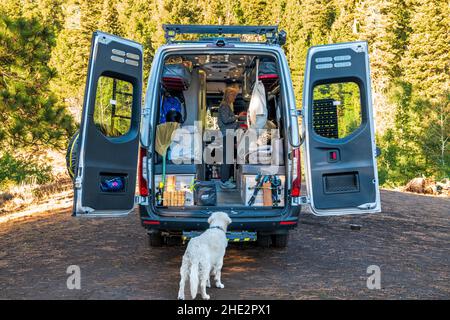 Platinum Golden Retriever cane; Airstream Interstate 24X campervan; esborsato campeggio; boondocking; Camus Sno-Park; National Forest; Vicino ad Adel; Oregon; Foto Stock