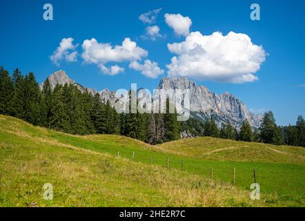 Paesaggio alpino idilliaco in estate con il Reiter Steinberge sullo sfondo, Weissbach bei Lofer, Salisburgo, Austria, Europa Foto Stock