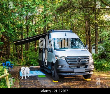 Airstream Interstate 24X 4WD campervan; Platinum Coloured Golden Retriever dog; Cape Lookout state Park, vicino a Tillamook; Oregon; USA Foto Stock