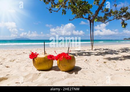 Due cocktail di cocco sulla spiaggia di sabbia bianca accanto al mare pulito con acqua blu. Vacanza e concetto di viaggio Foto Stock