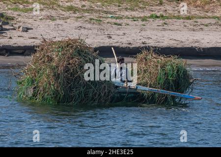 Un villager egiziano con una piccola barca a file di legno piena di un raccolto di canne o erba nel fiume Nilo in Egitto. Foto Stock