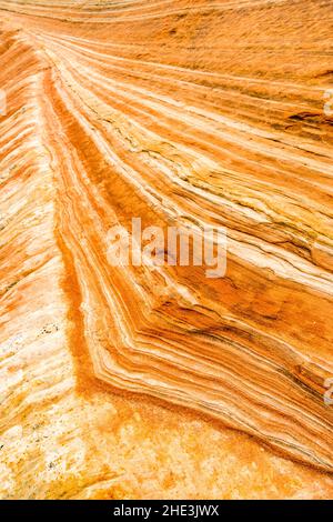 Arrugginiti e strisce di roccia bianche al White Pocket Area Vermilion Cliffs National Monument, Arizona Foto Stock