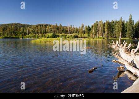 Lago Manzanita al crepuscolo con grande pino morto. Foto di paesaggio con atmosfera tranquilla e rilassante. Foto Stock