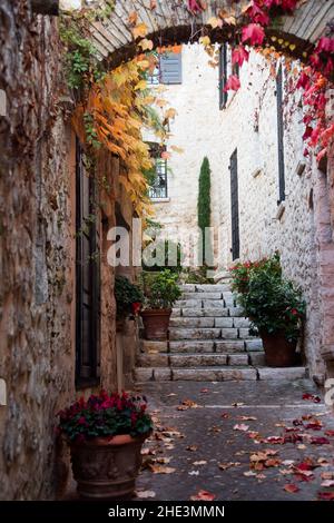 Vicolo di pietra nel villaggio di Saint Paul de Vence sulla Costa Azzurra nel mese di dicembre Foto Stock