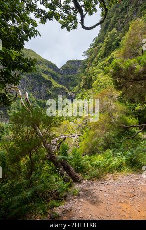 Spettacolare doppia cascata che cade attraverso la foresta della giungla. Foto Stock