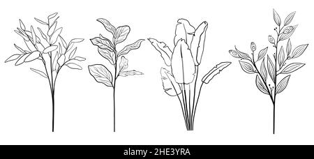 Set di foglie tropicali per disegnare le silhouette. Arte botanica moderna a linea singola, contorno estetico. Disegno linea continuo. Foto Stock