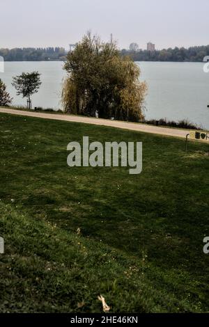 Sentiero di ghiaia sulla riva di un lago costeggiato da alberi in una giornata nuvolosa in inverno Foto Stock