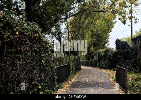 Sentiero di ghiaia sulla riva di un lago costeggiato da alberi in una giornata nuvolosa in inverno Foto Stock