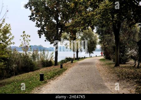 Sentiero di ghiaia sulla riva di un lago costeggiato da alberi in una giornata nuvolosa in inverno Foto Stock